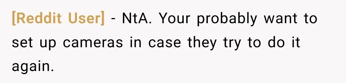 She Refused to Give Back Her Stolen Cat – What Happened Next Turned Into a Family Feud