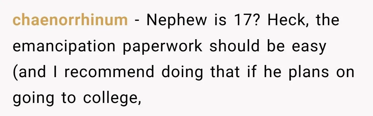 This Man Tells His Brother to Be a Better Father After Nephew Chooses to Live With Him Instead