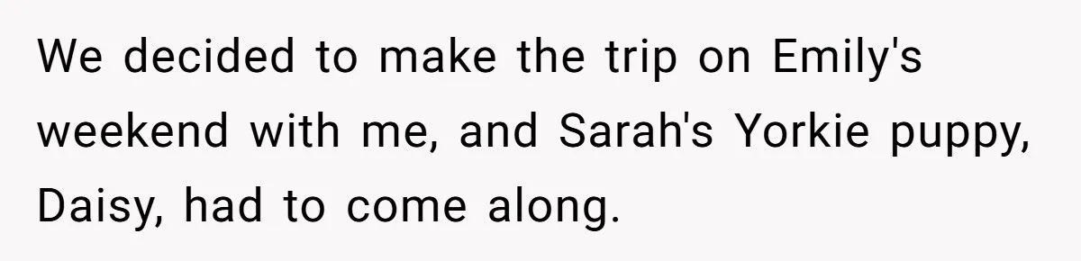 Dad Scolds 9-Year-Old For Losing Girlfriend’s Dog On Road Trip, Sparks Outrage