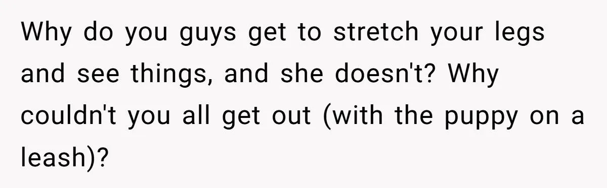 Dad Scolds 9-Year-Old For Losing Girlfriend’s Dog On Road Trip, Sparks Outrage
