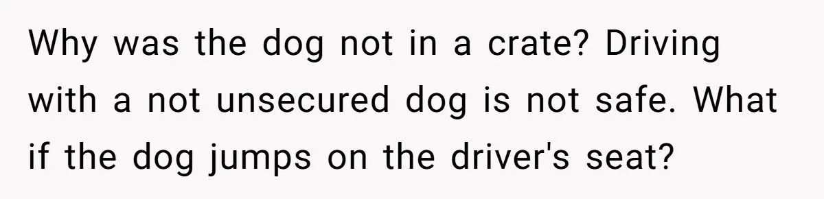 Dad Scolds 9-Year-Old For Losing Girlfriend’s Dog On Road Trip, Sparks Outrage