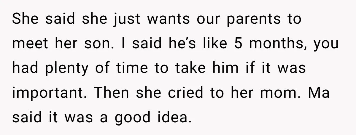 Sister’s Refusal To Babysit During Flight Delay Ignites Family Cold War