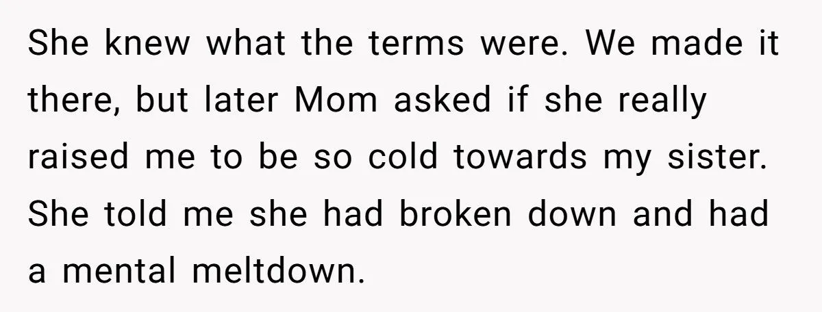 Sister’s Refusal To Babysit During Flight Delay Ignites Family Cold War