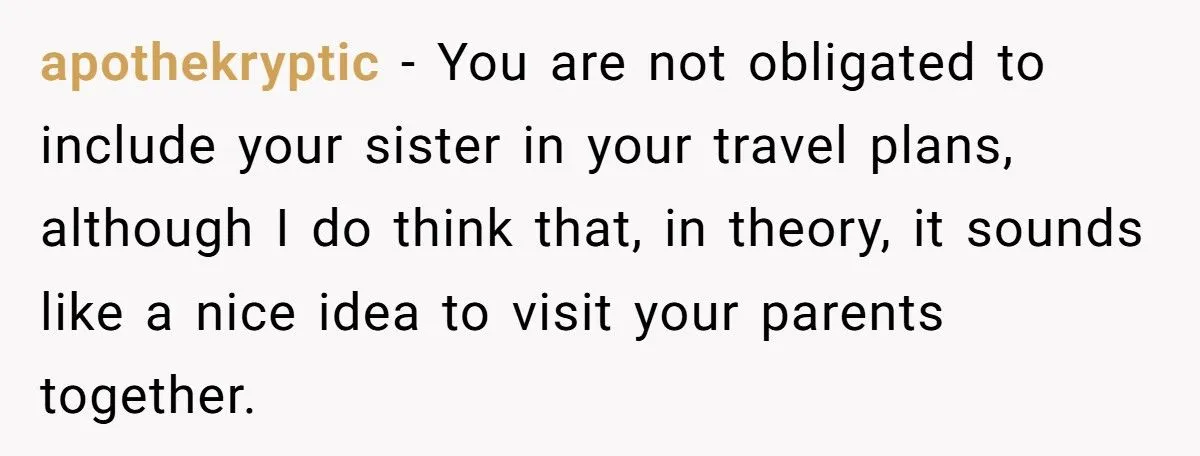 Sister’s Refusal To Babysit During Flight Delay Ignites Family Cold War