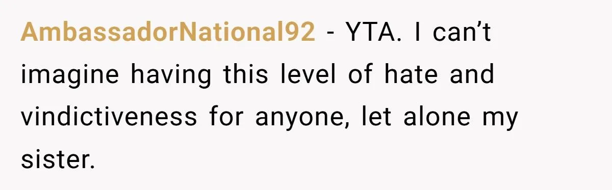 Sister’s Refusal To Babysit During Flight Delay Ignites Family Cold War
