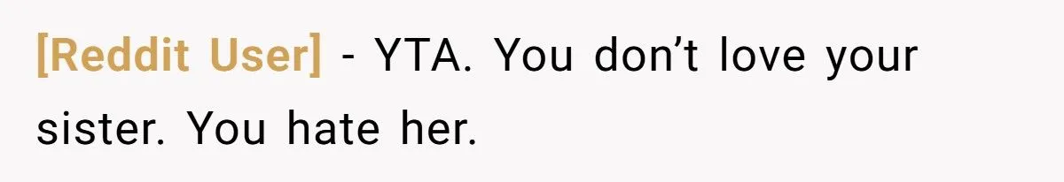 Sister’s Refusal To Babysit During Flight Delay Ignites Family Cold War