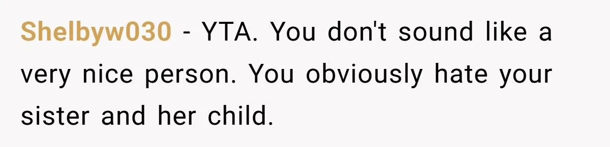 Sister’s Refusal To Babysit During Flight Delay Ignites Family Cold War