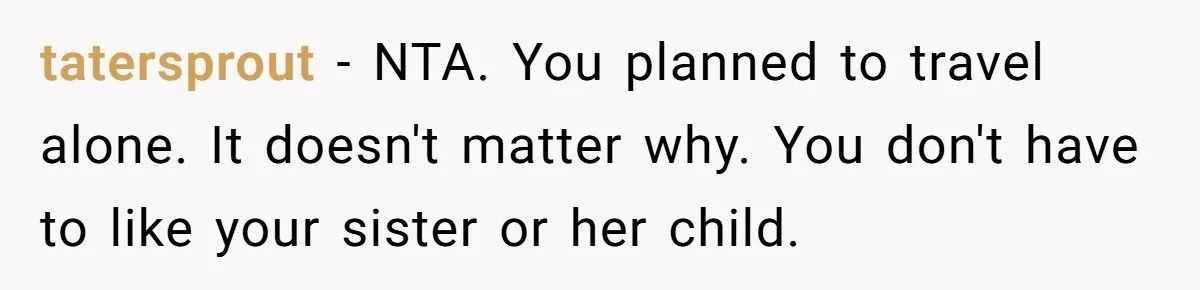 Sister’s Refusal To Babysit During Flight Delay Ignites Family Cold War