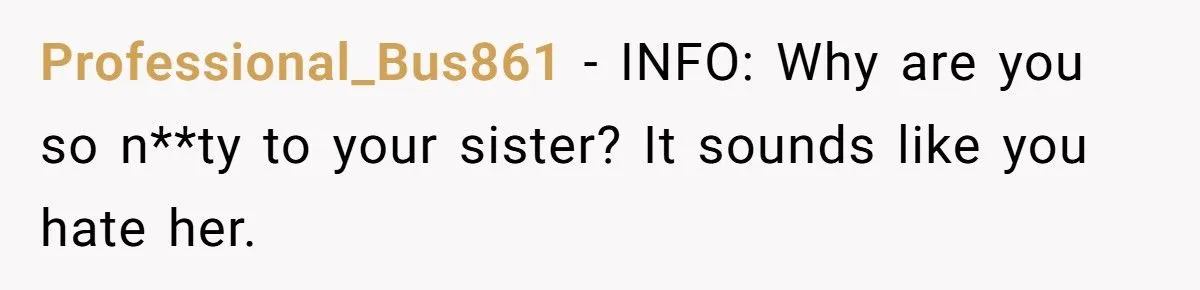 Sister’s Refusal To Babysit During Flight Delay Ignites Family Cold War