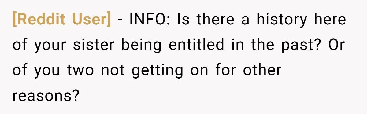 Sister’s Refusal To Babysit During Flight Delay Ignites Family Cold War