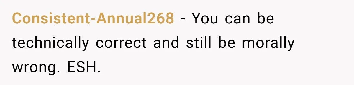 Sister’s Refusal To Babysit During Flight Delay Ignites Family Cold War