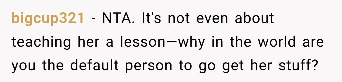 This Husband Refused to Be His Wife’s Personal Purse Retriever — Now She’s Mad About It