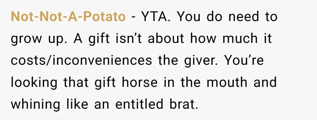 Daughter’s Outburst Over Dad’s Cirque du Soleil Ticket Gift Ignites Family Drama