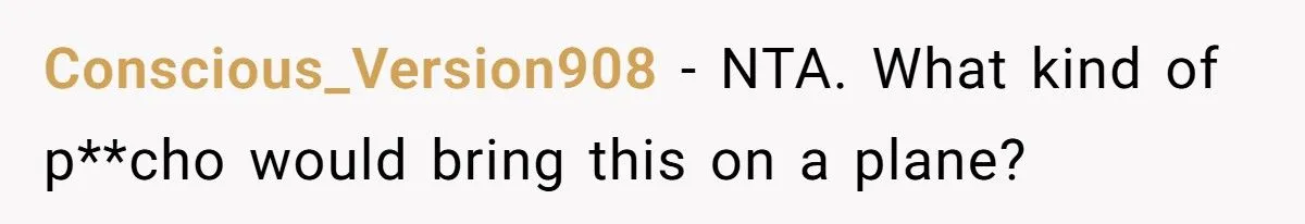He Reported a Mom for Allowing Glitter on a Plane – Now the Internet Is Divided