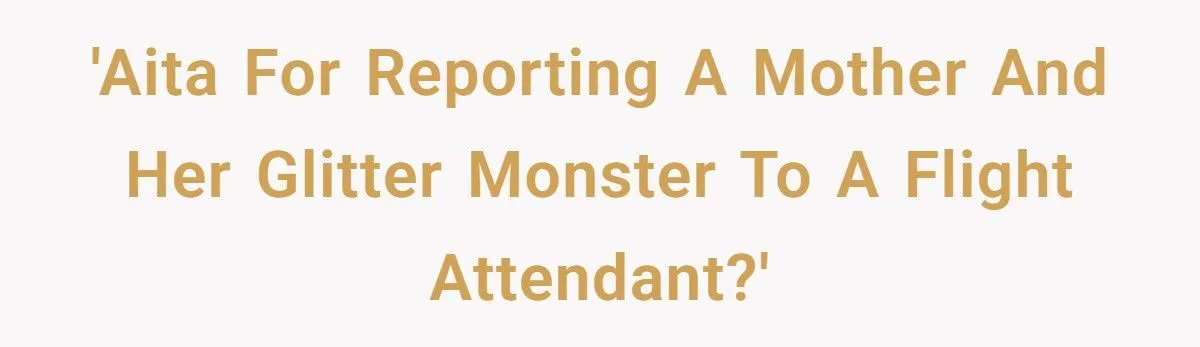 He Reported a Mom for Allowing Glitter on a Plane – Now the Internet Is Divided