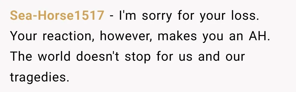 Did A Grieving Sister Overreact By Cutting Ties Over Her Brother’s Pregnancy News?
