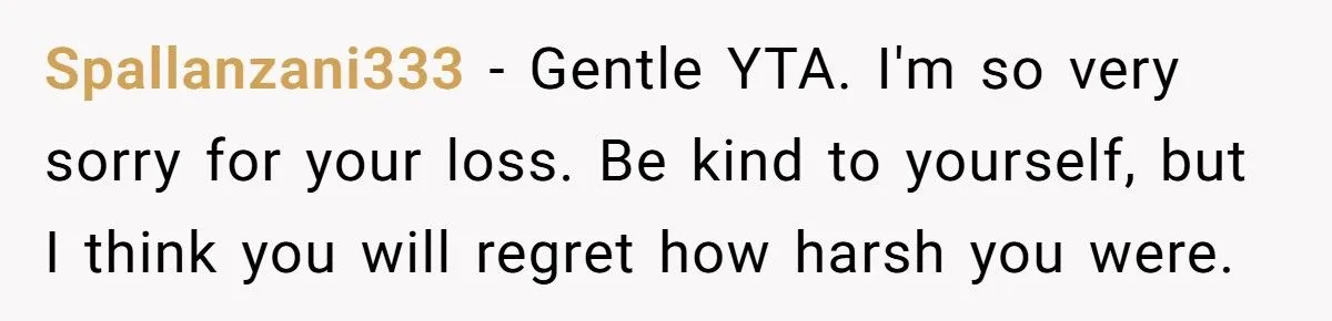 Did A Grieving Sister Overreact By Cutting Ties Over Her Brother’s Pregnancy News?