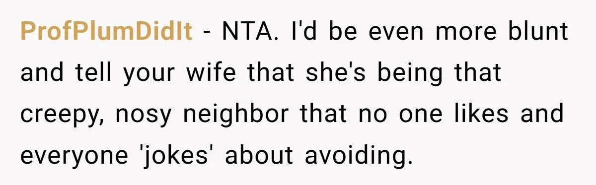 Man’s Clash With His Wife Over Spying On Neighbor Kids For A Custody Battle