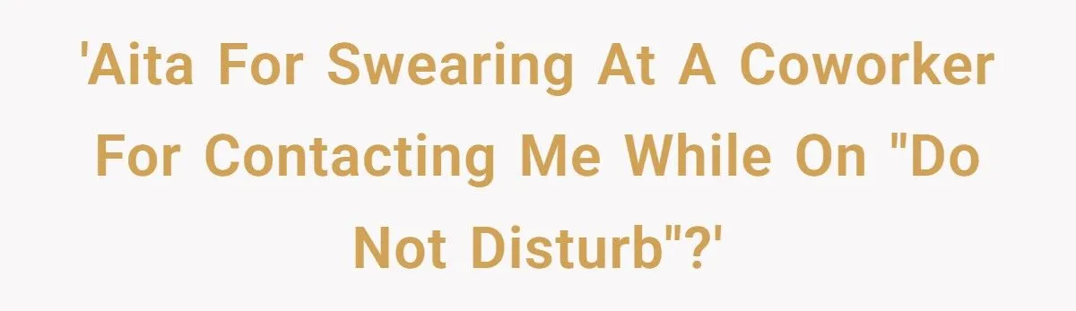 Worker Snaps t Coworker For Ignoring 'Do Not Disturb' Status Worker Snaps t Coworker For Ignoring 'Do Not Disturb' Status