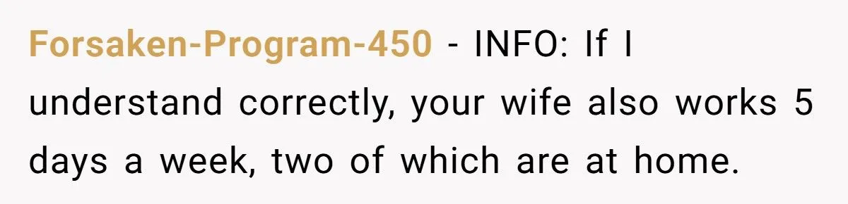 Husband Asks Pregnant Wife To Handle Toddler At 3 AM After Conference