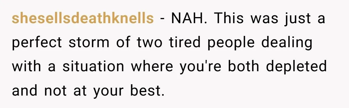 Husband Asks Pregnant Wife To Handle Toddler At 3 AM After Conference