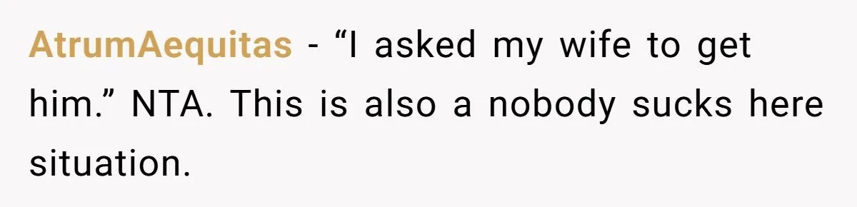 Husband Asks Pregnant Wife To Handle Toddler At 3 AM After Conference