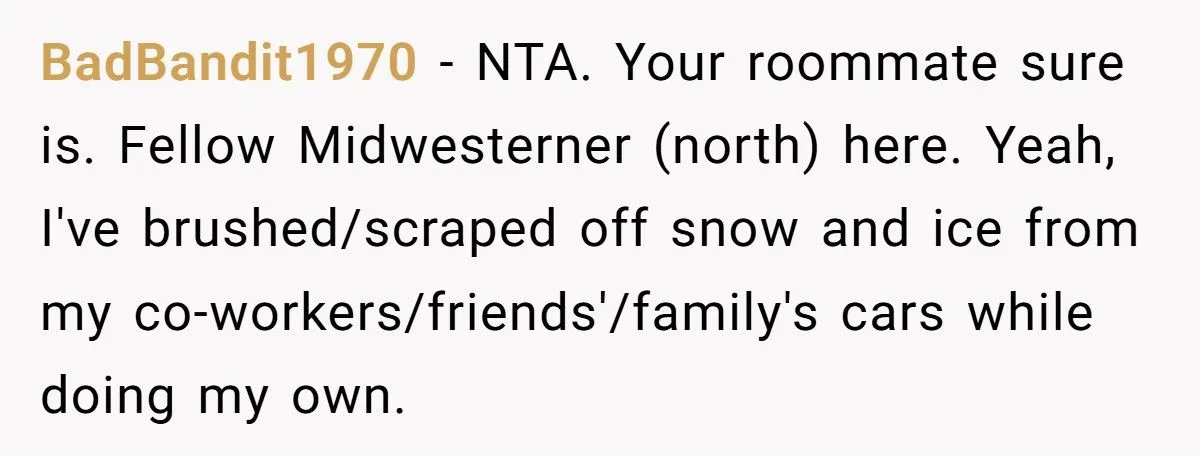 Midwestern Kindness Clashes With NY Roommate's Jealousy Over Snowy Car Scrape