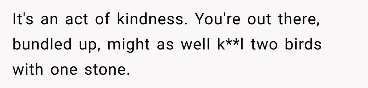 Midwestern Kindness Clashes With NY Roommate's Jealousy Over Snowy Car Scrape