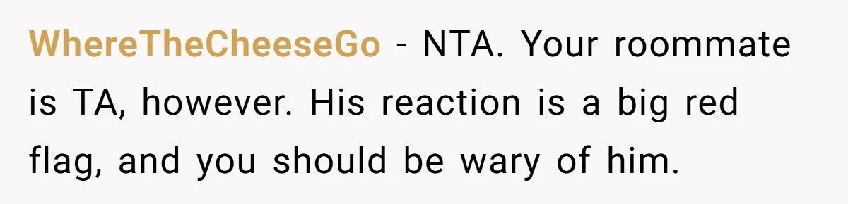 Midwestern Kindness Clashes With NY Roommate's Jealousy Over Snowy Car Scrape