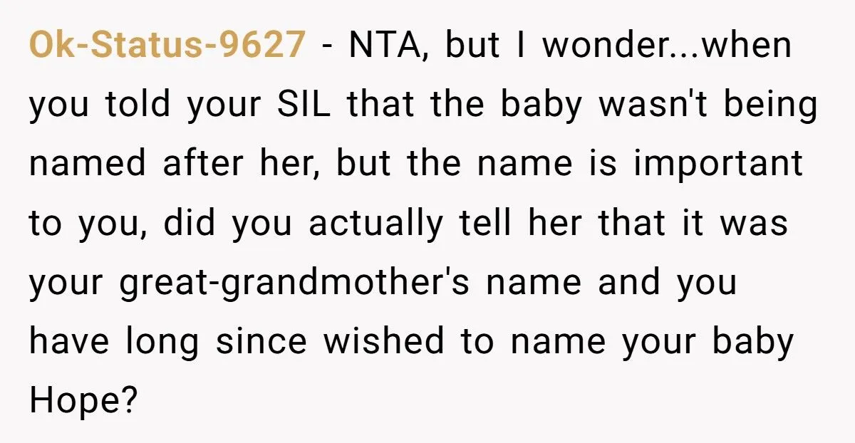 New Mom Names Baby "Hope", Defying SIL’s Objection And Stirring Family Tension