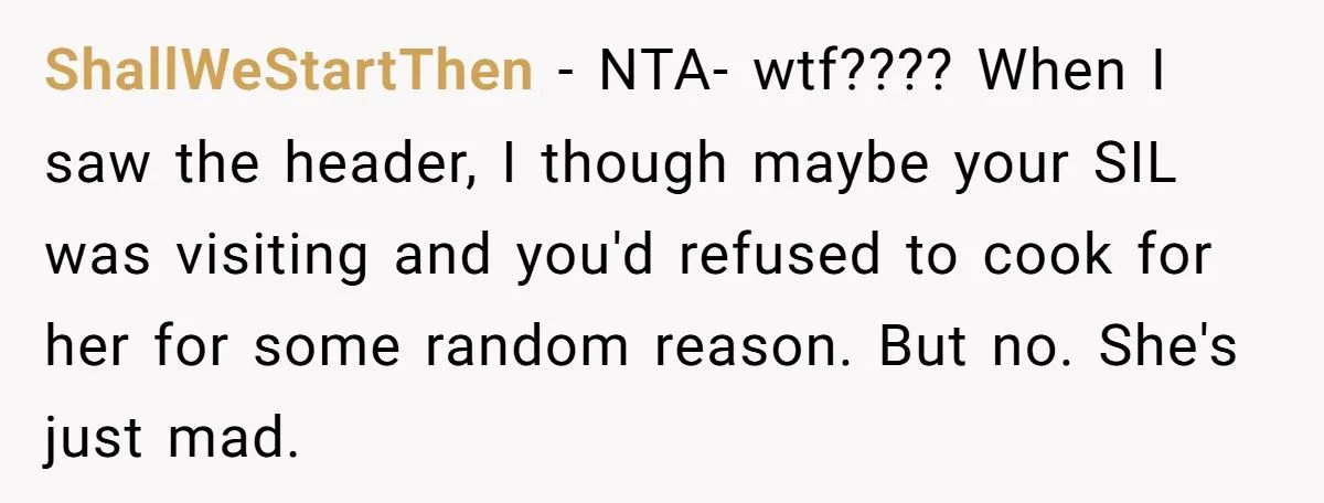 A Chef Refuses to Cook for His Pregnant Sister-in-Law, Telling Her to Rely on Her Husband