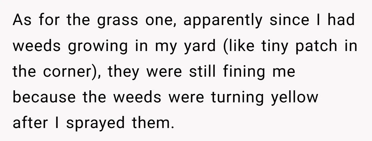 Homeowner Gets Petty Revenge on HOA Board – Ends Up Forcing Out Entire Leadership and Making the President Sell His House