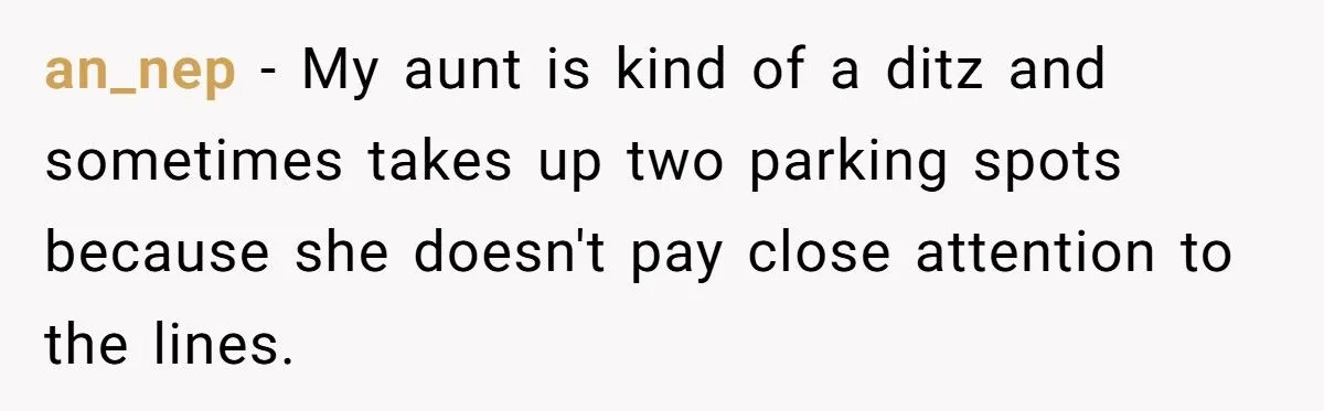 Fake Note On Corvette For Taking Four Parking Spots