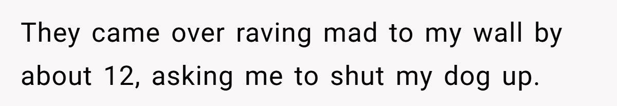 Nonstop Barking at Night? Neighbor’s Own Stereo Became the Perfect Revenge