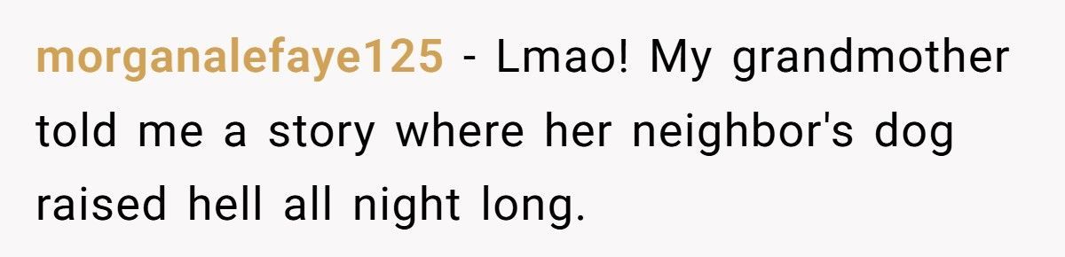 Nonstop Barking at Night? Neighbor’s Own Stereo Became the Perfect Revenge