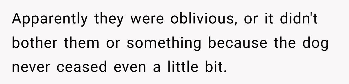 Nonstop Barking at Night? Neighbor’s Own Stereo Became the Perfect Revenge