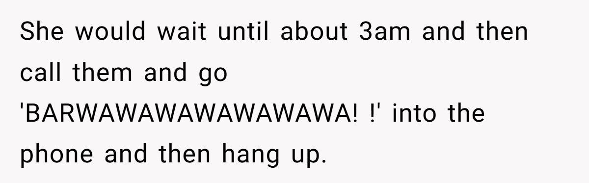 Nonstop Barking at Night? Neighbor’s Own Stereo Became the Perfect Revenge