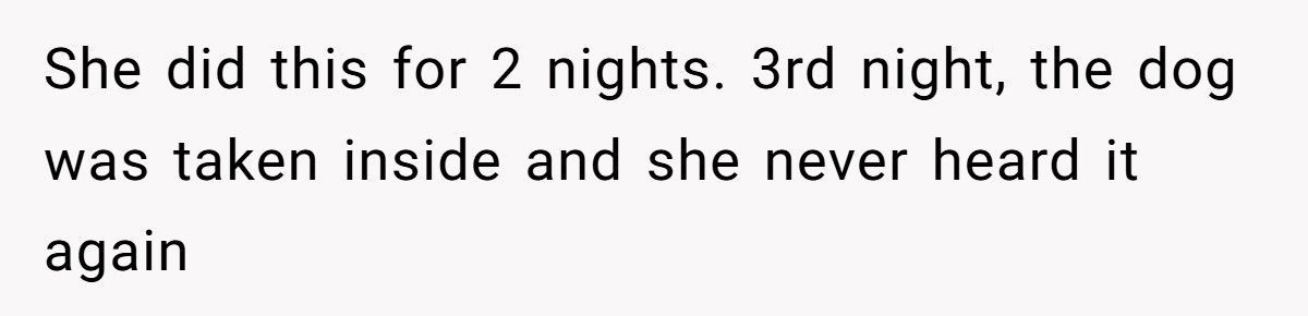 Nonstop Barking at Night? Neighbor’s Own Stereo Became the Perfect Revenge
