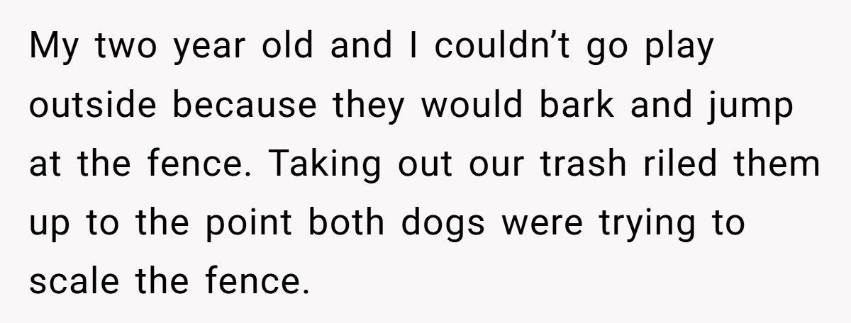 Nonstop Barking at Night? Neighbor’s Own Stereo Became the Perfect Revenge