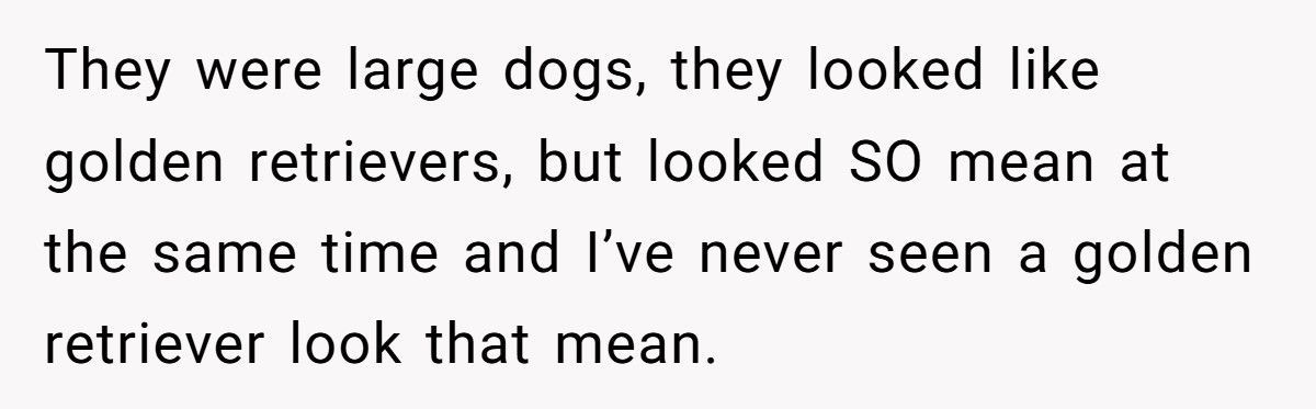 Nonstop Barking at Night? Neighbor’s Own Stereo Became the Perfect Revenge
