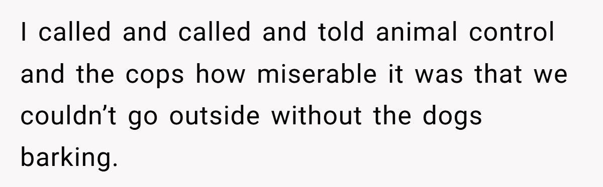 Nonstop Barking at Night? Neighbor’s Own Stereo Became the Perfect Revenge
