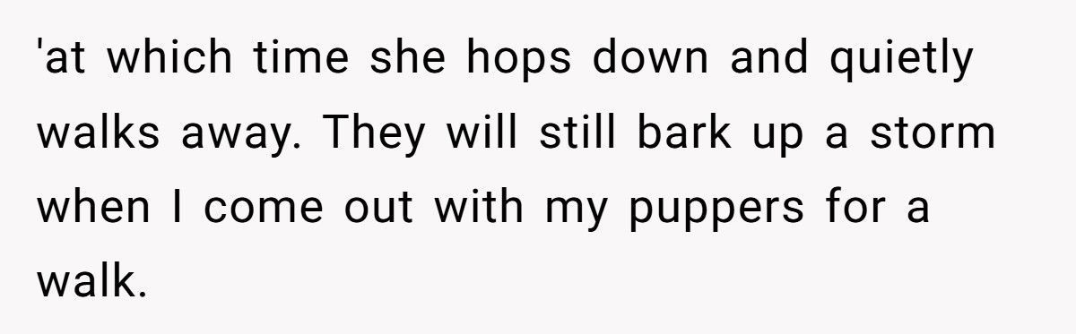 Nonstop Barking at Night? Neighbor’s Own Stereo Became the Perfect Revenge