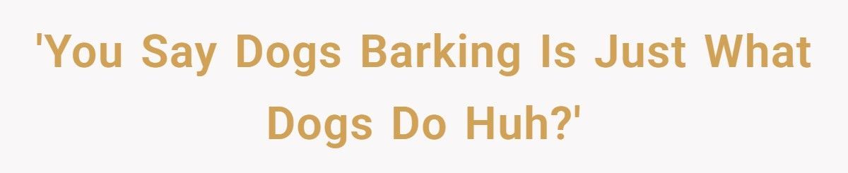 Nonstop Barking at Night? Neighbor’s Own Stereo Became the Perfect Revenge