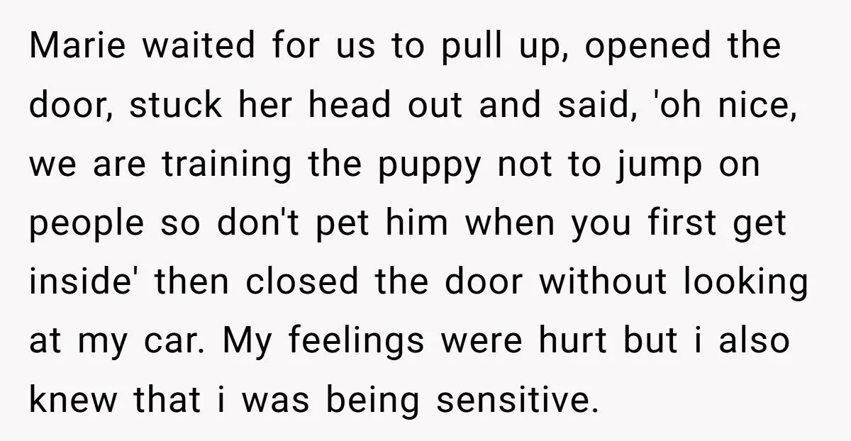 They Pretended to Be Unimpressed by Their Friend’s New Car After She Ignored Their Own - Were They Being Petty