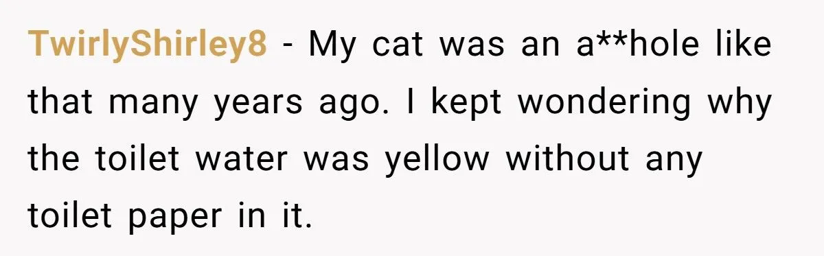 Her Ex Made Her Suffer Every Time She Needed the Bathroom - So She Made Him Clean Up Her Mess