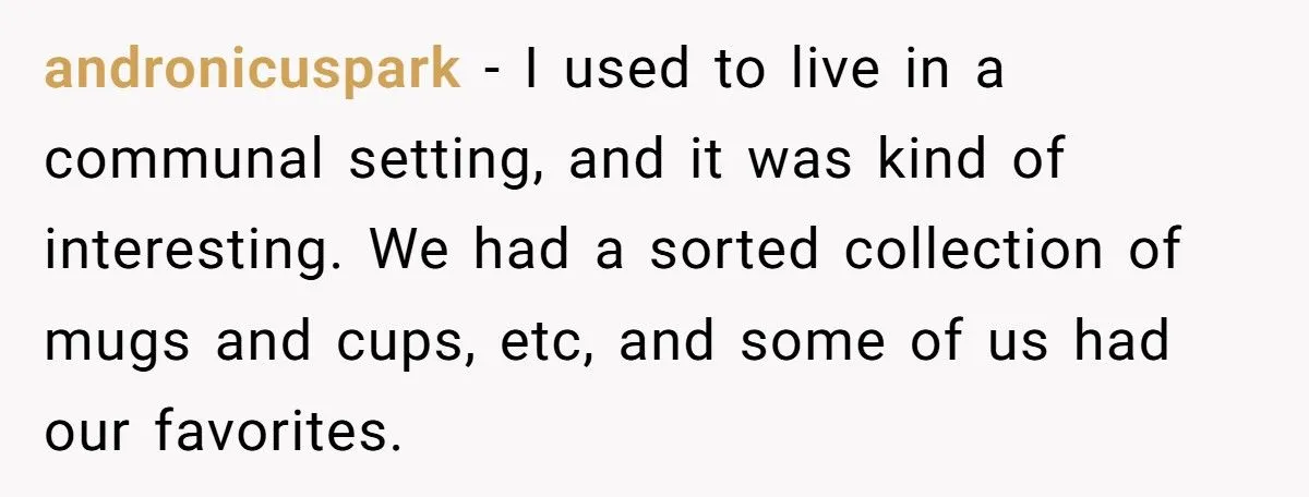 Woman Sabotages Stolen Hawaii Mug With Cat Food Stink