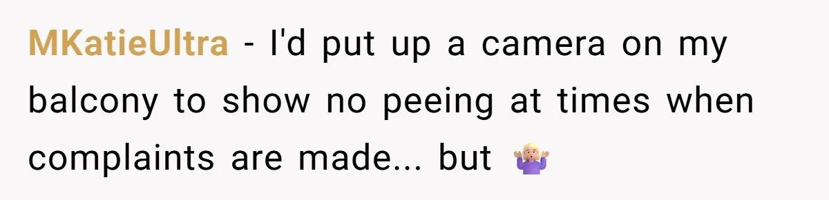 Woman’s Balcony Battle: Petty Revenge Or Lease-Ending Chaos?