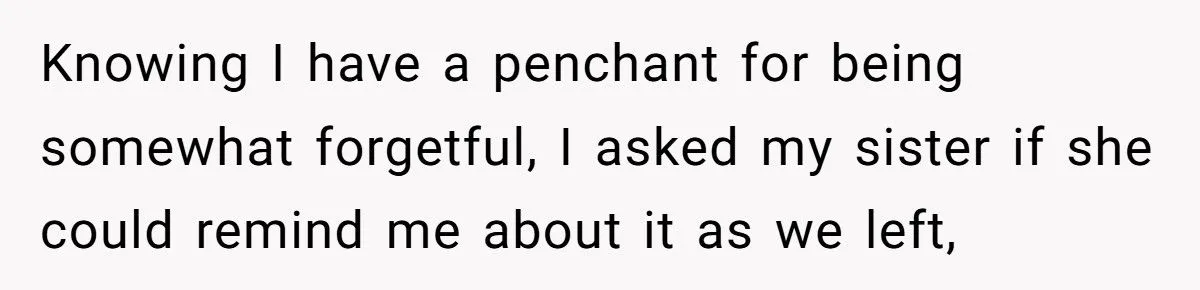 Older Brother Gets the Perfect Payback on Sister Who Refused to “Be His Mom” During Vacation