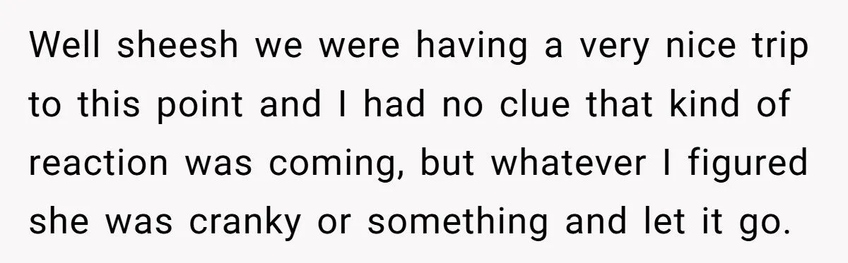 Older Brother Gets the Perfect Payback on Sister Who Refused to “Be His Mom” During Vacation