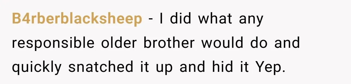 Older Brother Gets the Perfect Payback on Sister Who Refused to “Be His Mom” During Vacation